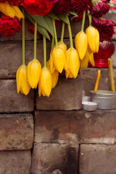 Kiev, Ucrania, febrero: flores, lámparas en la memoria — Foto de Stock