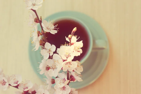 Tazza di tè con ramoscello di ciliegia in fiore — Foto Stock