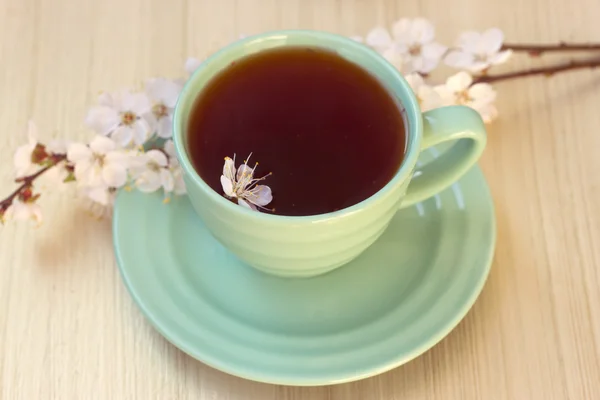 Cup of tea with blooming cherry twig — Stock Photo, Image