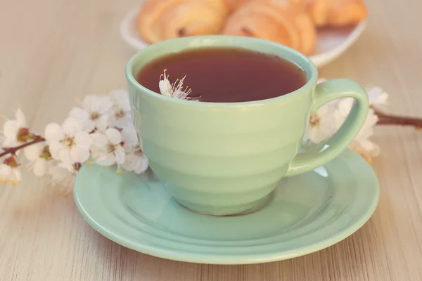 Tasse Tee und Croissants in der Nähe blühender Zweige — Stockfoto