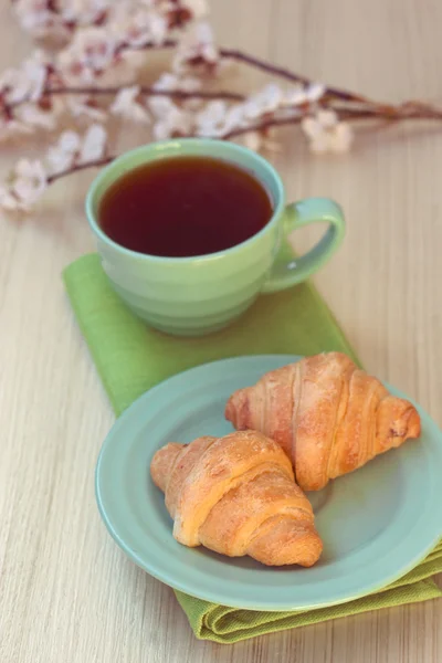 Tasse Tee und Croissants in der Nähe blühender Zweige — Stockfoto