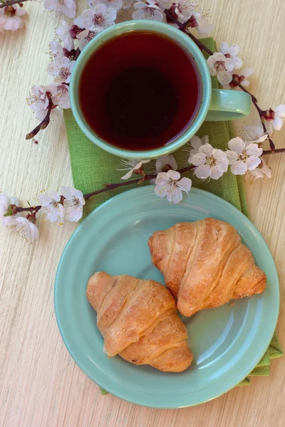 Cup of tea and croissants near blossoming branches — Stock Photo, Image