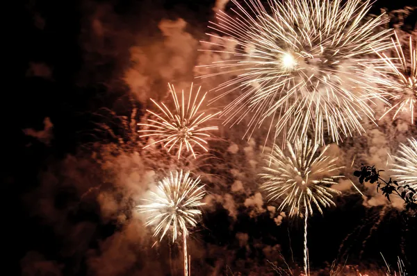 Firework display 2013 — Stock Photo, Image