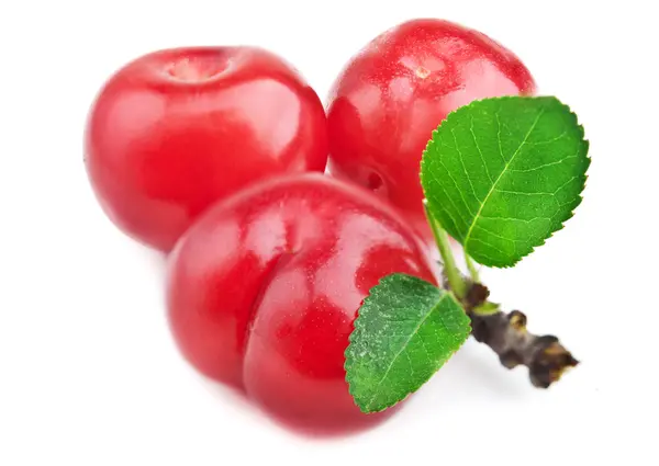 Fresh cherry — Stock Photo, Image