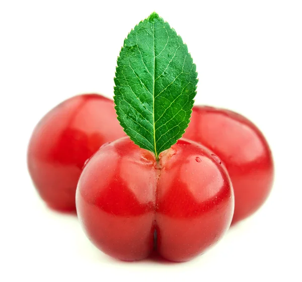 Fresh cherry — Stock Photo, Image