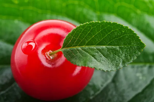 Closeup di rosso ciliegia — Foto Stock