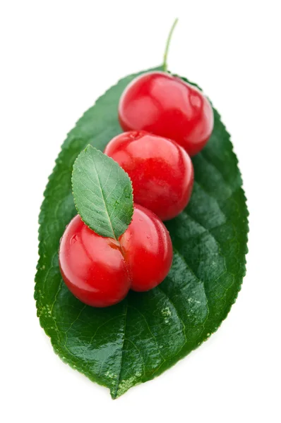 Fresh cherry on leaf — Stock Photo, Image