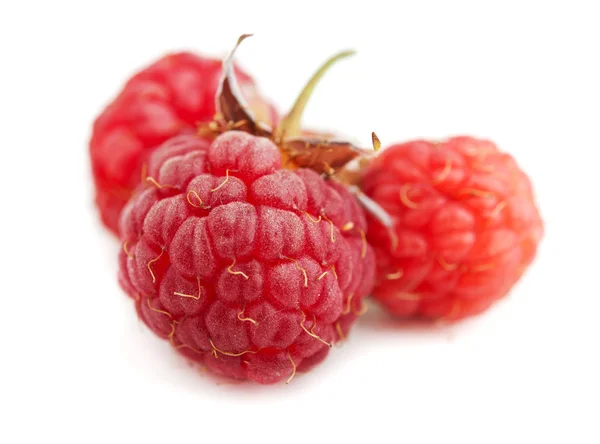 Natural raspberry — Stock Photo, Image
