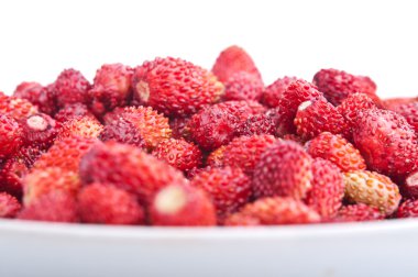 taze kırmızı çilek