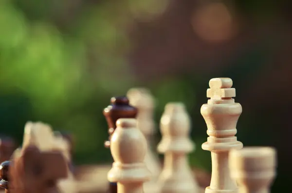 King of chess — Stock Photo, Image