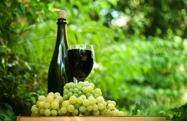 Fles wijn en verse groene druiven — Stockfoto