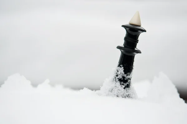 Piezas de ajedrez de invierno —  Fotos de Stock