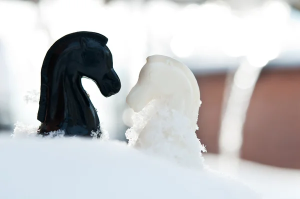 雪の上のチェスの作品騎士 — ストック写真