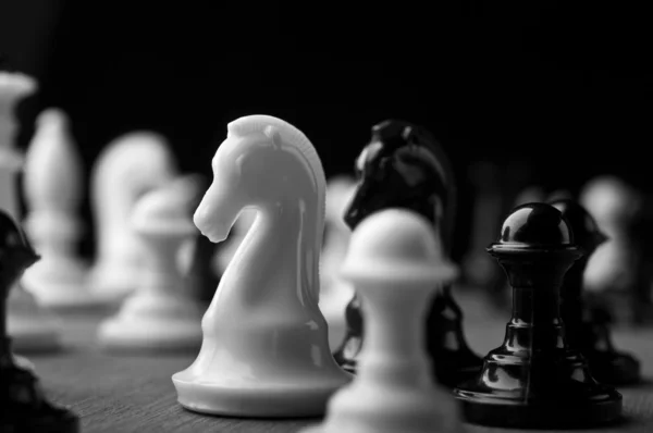 Шахматный рыцарь — стоковое фото