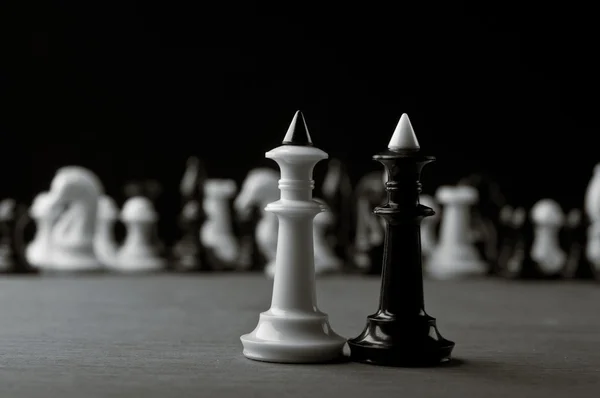 Zwei Schachkönige — Stockfoto