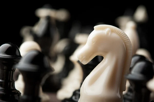 Bílá šachy knight — Stock fotografie
