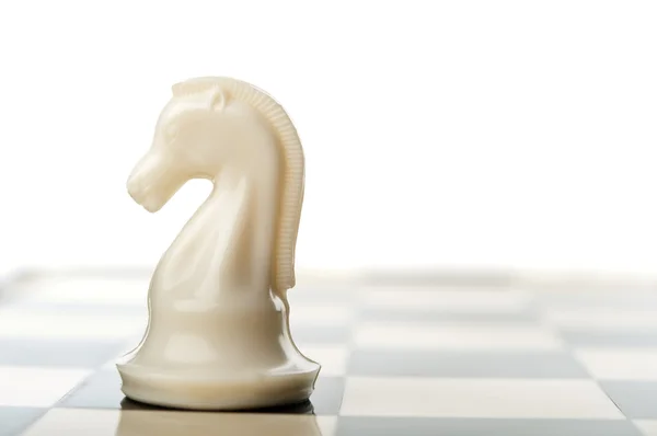 Beyaz satranç knight — Stok fotoğraf