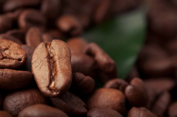 Coffee beans background — Stock Photo, Image