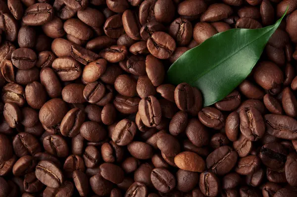 Coffee beans background — Stock Photo, Image