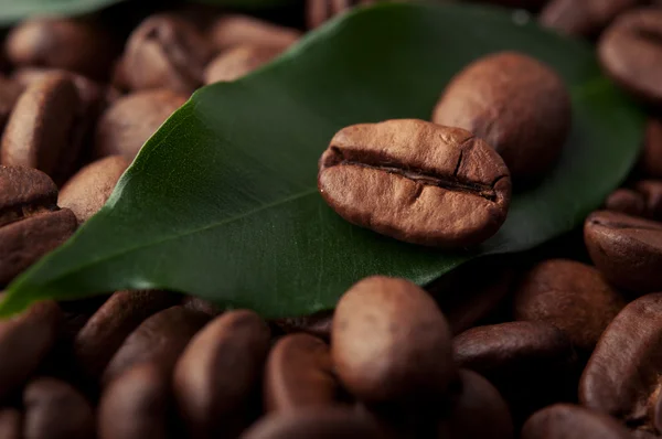 Grãos de café com folha — Fotografia de Stock