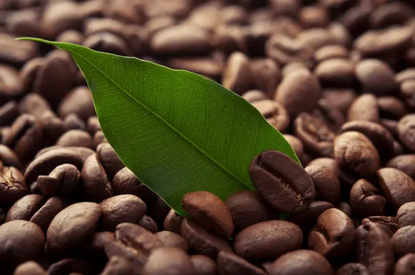 Grãos de café — Fotografia de Stock