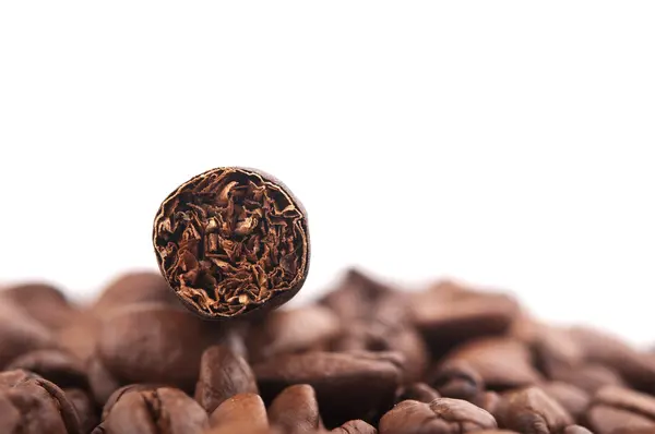 Cigar and coffee beans — Stock Photo, Image