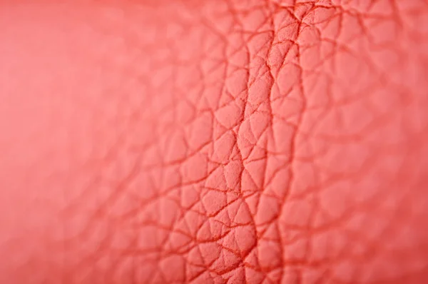 Tekstur kulit merah — Stok Foto