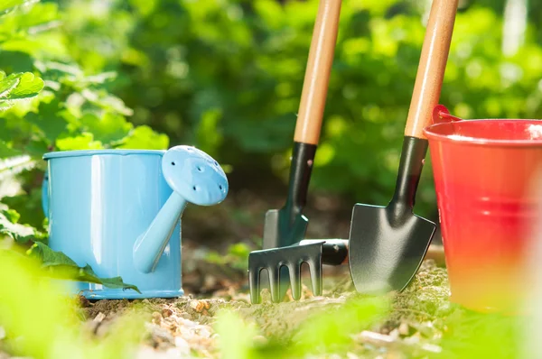 Garden tools — Stock Photo, Image