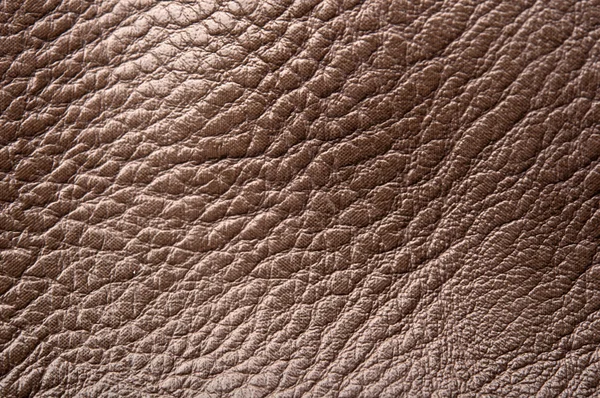 Tekstur kulit — Stok Foto