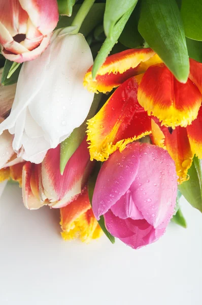 Blommor på bakgrund — Stockfoto