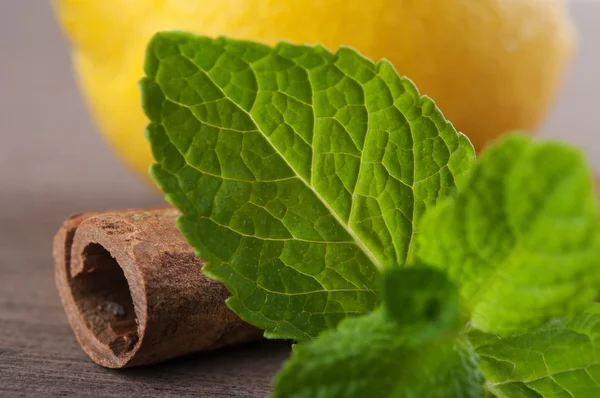 Closeup of green mint — Stock Photo, Image