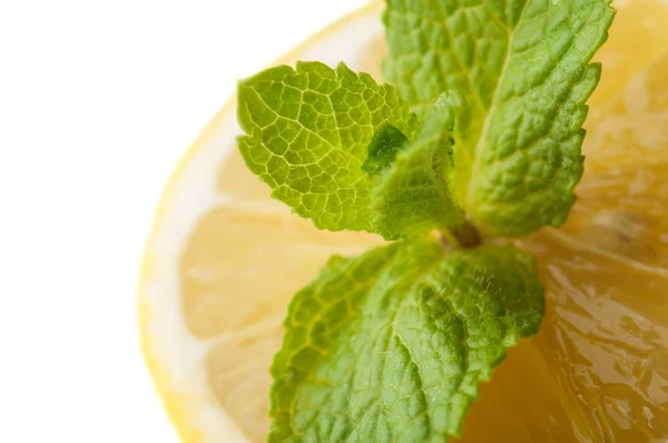 Friss citrom és zöld menta — Stock Fotó