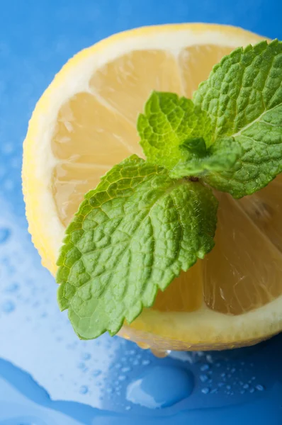 Fresh lemon and mint — Stock Photo, Image