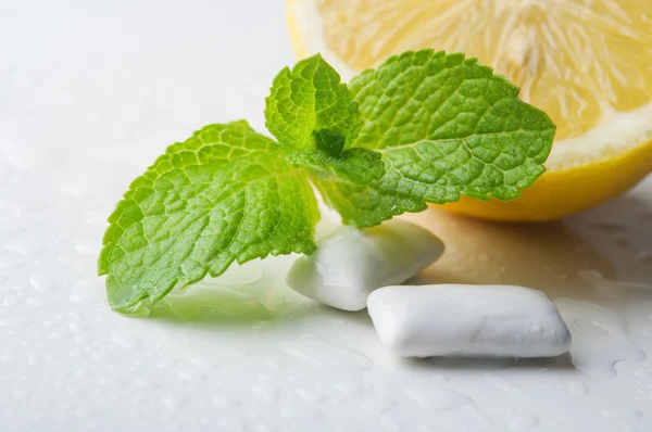 Gums with mint — Stock Photo, Image