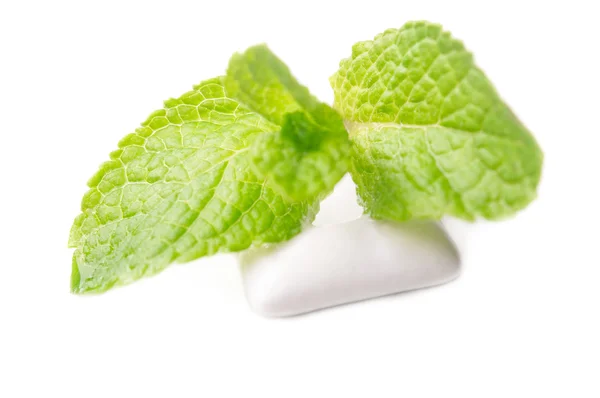 Chewing gums with green mint — Stock Photo, Image