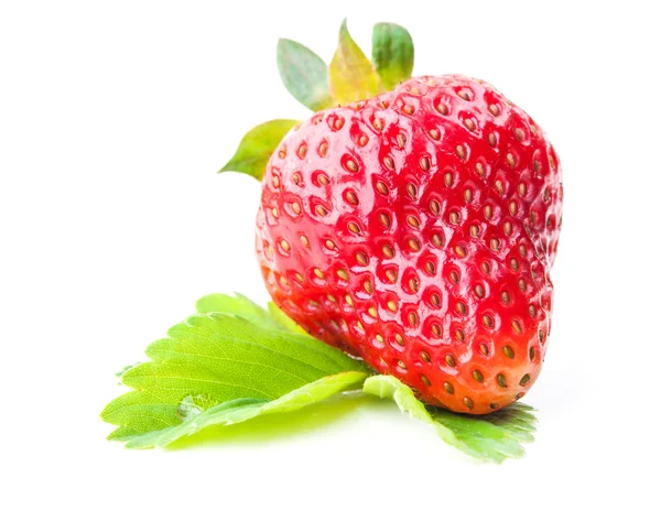 Fresh red strawberry — Stock Photo, Image