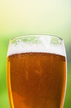 bira bardağı closeup