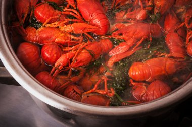 Crayfish in pan clipart
