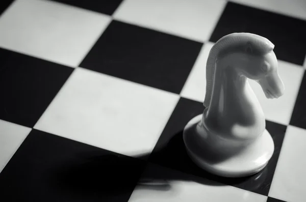 White chess knight — Stock Photo, Image