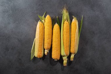 Taş bir arka planda taze mısır. Diyet yemek. Üst görünüm