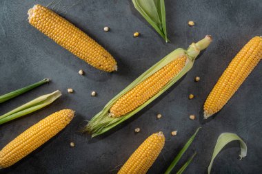 Taş bir arka planda taze mısır. Diyet yemek. Üst görünüm.