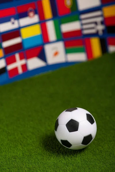 스포츠 경기장에서의 경기의 텔레비전 월드컵에 참가하는 국가들의 상징이다 — 스톡 사진