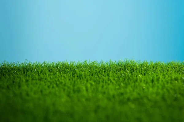 Nahaufnahme Von Grünem Rasen Natur Rasen Hintergrund Makrofotofeld — Stockfoto