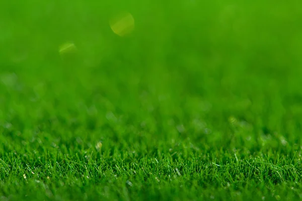 Nahaufnahme Von Grünem Rasen Natur Rasen Hintergrund Makrofotofeld — Stockfoto