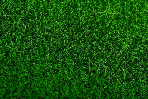 緑の芝生の閉鎖 自然の芝生の背景 マクロフォトフィールド — ストック写真