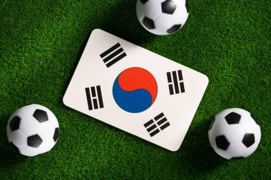 Flag of Korea. Football balls on a green lawn. World Cup 2022. Top view.