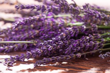 Closeup of a lavander flower. beautiful flora background.