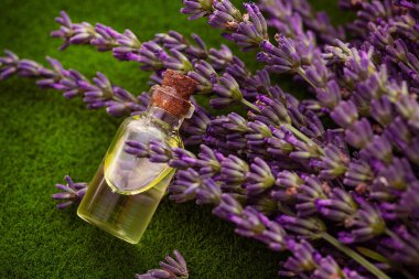 A glass bottle with the essence of lavender or another flower for creating a perfume on a background of green grass.