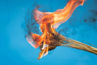 Burning yellow wheat ears on the blue background. Crime. War in Ukraine. Famine. Theft of grain. Decrease harvest.