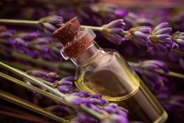 Closeup Lavander Oil Liquid Bottle Flowers Background Skin Care Aromatherapy — Φωτογραφία Αρχείου